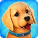 Dog Town: Pet Shop Game, Care & Play Dog Games‏
