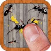 Ant Smasher by Best Cool & Fun Games‏ APK