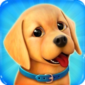 Dog Town: Pet Shop Game, Care & Play Dog Games‏ APK